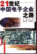 21世纪中国电子企业之路