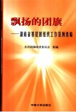 飘扬的团旗 湖南省基层团组织工作范例选编
