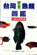 台湾常见鱼类图鉴 3 岩石海岸鱼