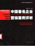 中国著名企业营销案例评析