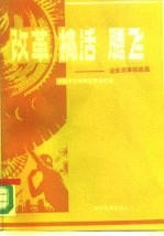 改革·搞活·腾飞——企业改革经验选