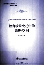 教育政策变迁中的策略空间