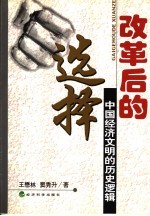 改革后的选择 中国经济文明的历史逻辑
