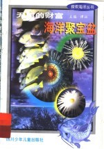 无穷的财富 海洋聚宝盆