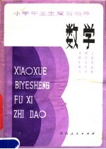 小学毕业生复习指导 数学