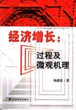 经济增长:过程及微观机理