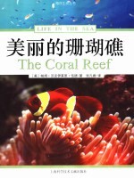 美丽的珊瑚礁