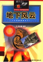 地下风云