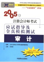 2005年注册会计师考试应试指导及全真模拟测试 审计