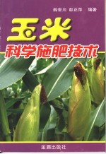 玉米科学施肥技术