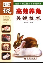图说高效养兔关键技术