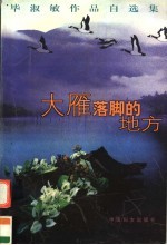 大雁落脚的地方 毕淑敏作品自选集