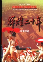 辉煌二十年 农村篇