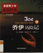 乔伊历险记 下