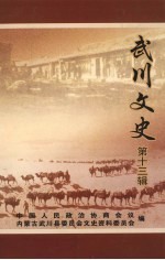 武川文史 第13辑