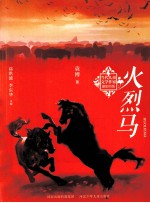 当代儿童文学作家原创书系 火烈鸟