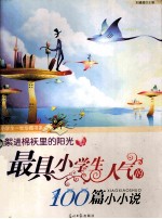 絮进棉袄里的阳光:最具小学生人气的100篇小小说