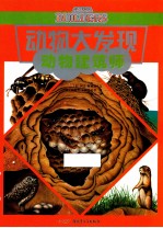 动物大发现系列 动物建筑师