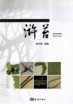 浒苔