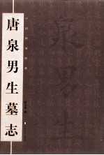 中国碑刻经典 唐泉男生墓志
