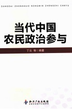 当代中国农民政治参与