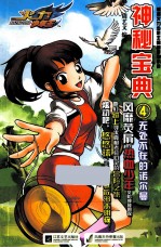 神秘宝典 4 无处不在的诺尔曼