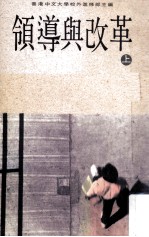 领导与改革 上