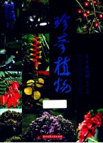 珍奇植物