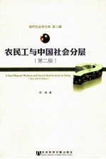 农民工与中国社会分层 第2版
