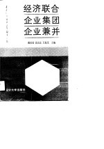 经济联合企业集团企业兼并