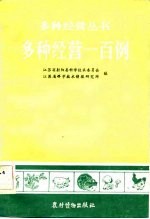 多种经营一百例