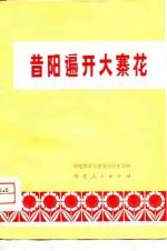 昔阳遍开大寨花