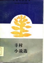 丰村小说选