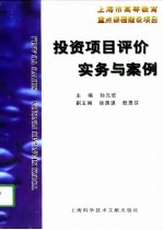 投资项目评价实务与案例