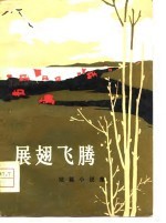 展翅飞腾 短篇小说集