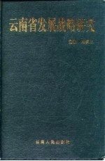 云南省发展战略研究