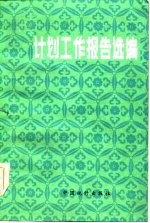 计划工作报告选编