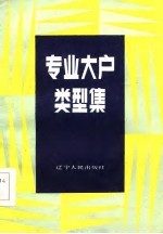 专业大户类型集