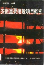 安徽重要建设项目概览