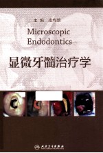 显微牙髓治疗学