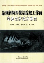 急倾斜特厚煤层综放工作面巷道支护技术研究