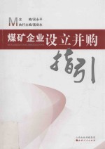 煤矿企业设立并购指引