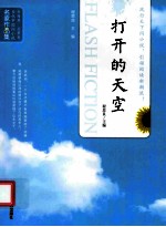 当代中国闪小说名家作品集 打开的天空