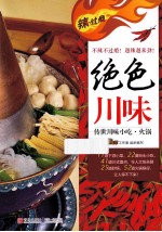 辣过瘾 绝色川味 传世川味小吃·火锅