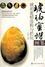 琥珀蜜蜡图鉴 琥珀蜜蜡选购与把玩