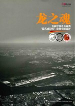 龙之魂:首届中国九大商帮“最具成长性”企业全球选评