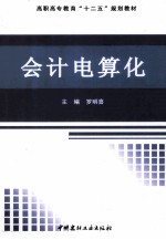 会计电算化