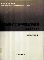 文物保护工程与规划专辑 2 技术与工程实例