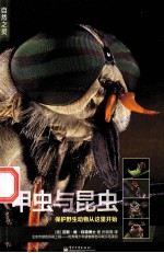 自然之灵 甲虫与昆虫 全彩