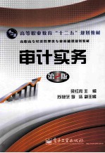 审计实务 第2版